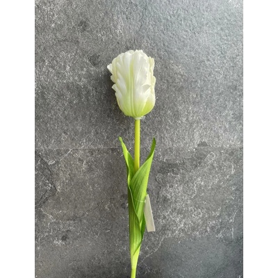 Sempro Tulipán 17101 60cm