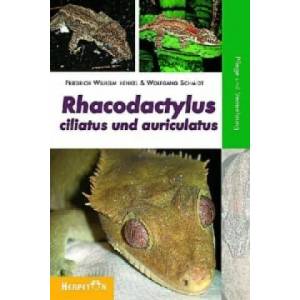 Rhacodactylus ciliatus und auriculatus | Friedrich-Wilhelm Henkel, Wolfgang Schmidt (2007)
