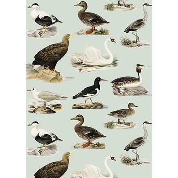 Přání Waterfowl