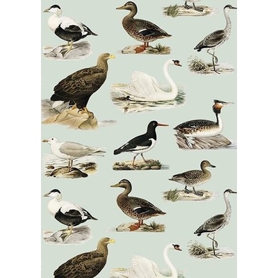 Přání Waterfowl