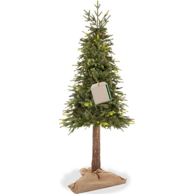 Springos CT0200 PRÍRODNÝ SMREK NA KMEŇOVI 220 CM