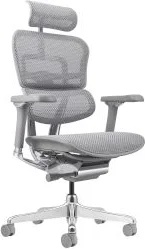 Стол Ergohuman Plus Luxury II DM Grey