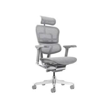Image 1 of Стол Ergohuman Plus Luxury II DM Grey