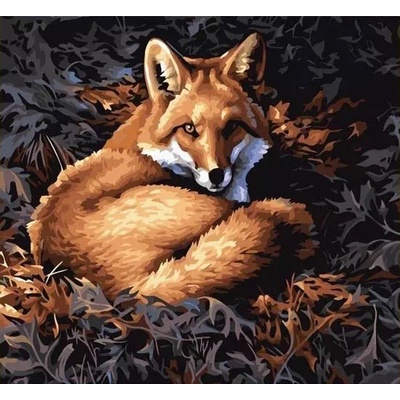 Gaira® Malovanie podľa čísel Líška M2498