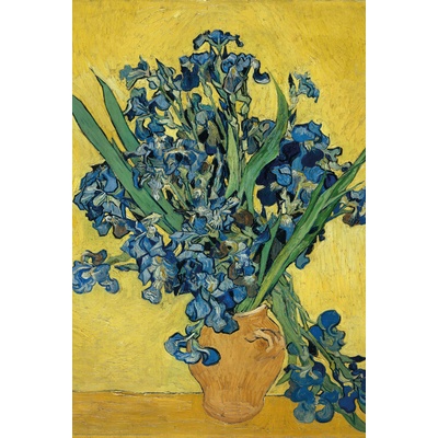 Plagát, Obraz - Irises, Vincent van Gogh, 61 × 91.5 cm