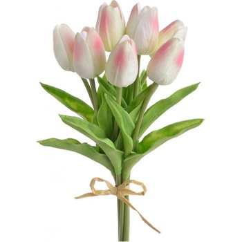Deejada.cz Pěnový tulipán růžovo krémový puget 7 ks