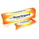 Link Natural bylinná ajurvedská mast na unavené svaly a klouby 25 ml