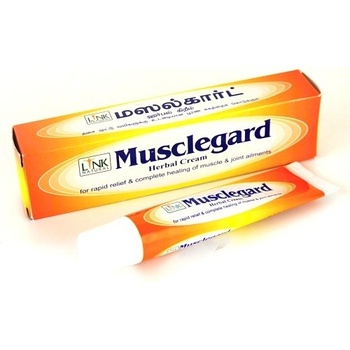 Link Natural bylinná ajurvedská mast na unavené svaly a klouby 25 ml