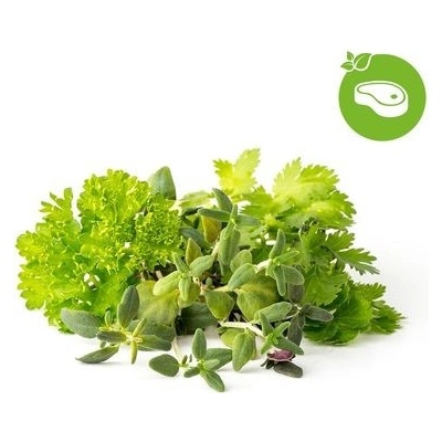 Click and Grow Mix Steak&Grill kapsle se semínky a substrátem 9 ks