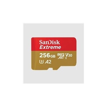 SanDisk microSDXC 256GB SDSQXAV-256G-GN6GN
