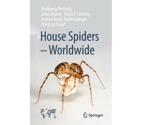 House Spiders - Worldwide