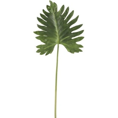 Okrasný list Monstera - 106cm - J-Line by Jolipa