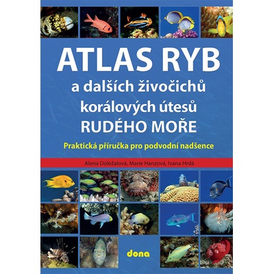 Atlas ryb a dalších živočichů korálových útesů Rudého moře