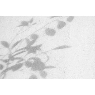 Plakát, Obraz - Bush leaves shadow over textured white, Anna Blazhuk, 40 × 26.7 cm