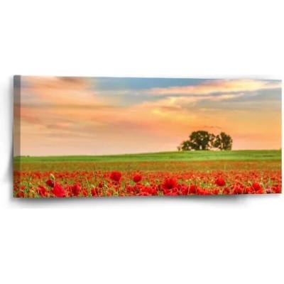 Sablio Obraz Pole vlčích máků 2 - 110x50 cm