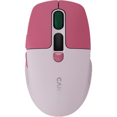 CANYON MW-26 (CNS-CMSW26P)