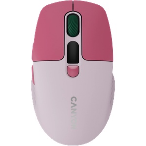 CANYON MW-26 (CNS-CMSW26P)