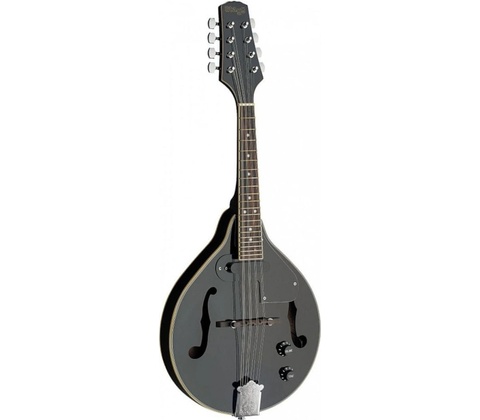 Stagg M50 E