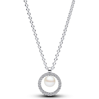 Pandora 393165C01