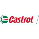 Castrol Rustilo DW 300 X 20 l