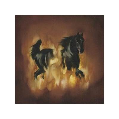 The Besnard Lakes - ARE THE DARK HORSE Vinyl