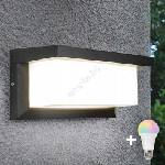 BOWI Димируемо LED RGBW външно стенно осветително тяло NEELY 1xE27/9W/230V IP54 антрацит (LEDBW0296D)