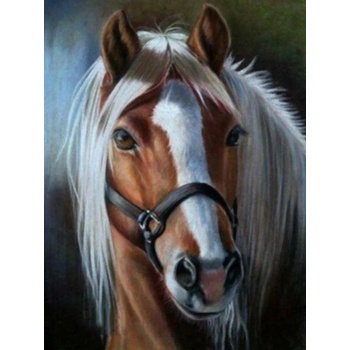 Norimpex - Puzzle Diamant painting: Portrait of a horse - 1 - 39 piese