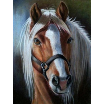 Norimpex - Puzzle Diamant painting: Portrait of a horse - 1 - 39 piese