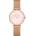 Daniel Wellington DW00100663