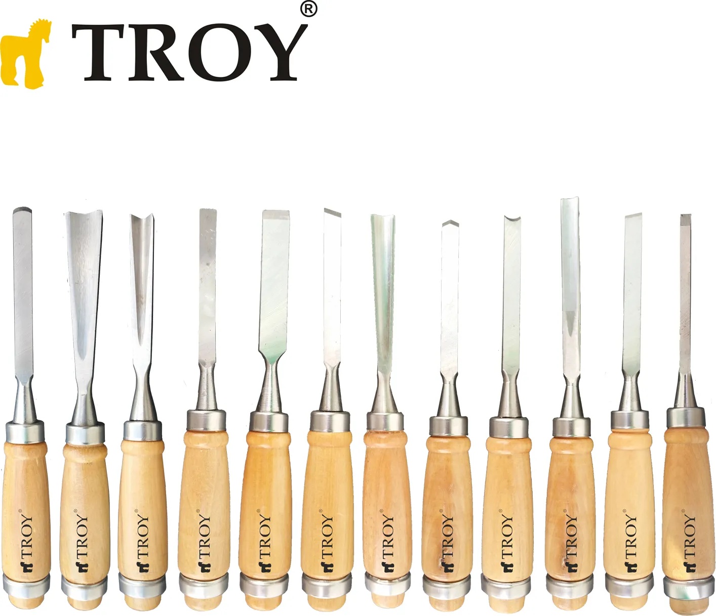 TROY 25004