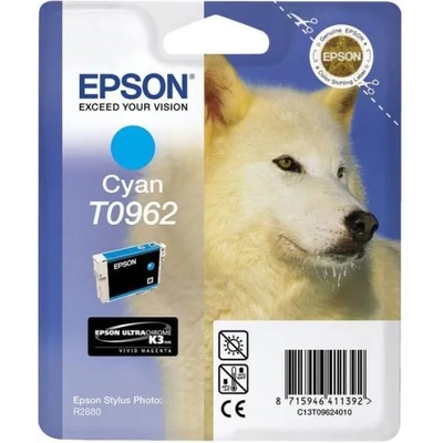 Epson T0962