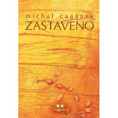 Zastaveno - Michal Čagánek