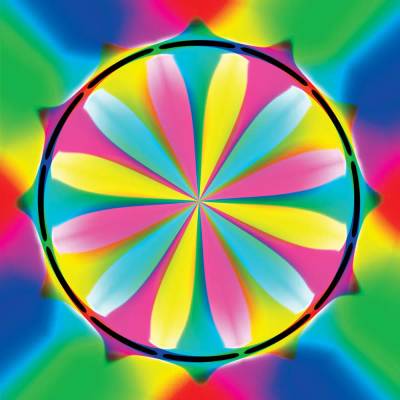 Yazz - Puzzle Colorful Ormanent - 1 000 piese
