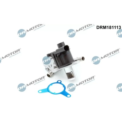 Dr.Motor Automotive AGR ventil DMA DRM181113
