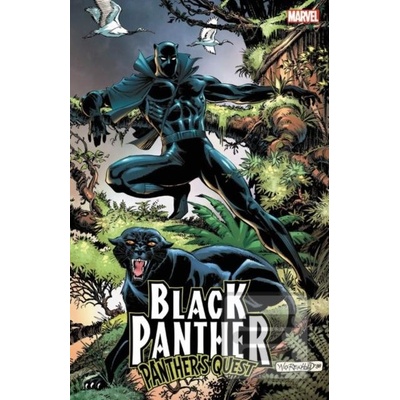 Black Panther: Panthers Quest McGregor DonPaperback