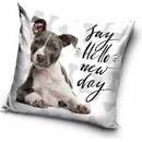 Carbotex s Pitbullom motív Say hello new day Pozdrav nový deň 40 x 40 cm