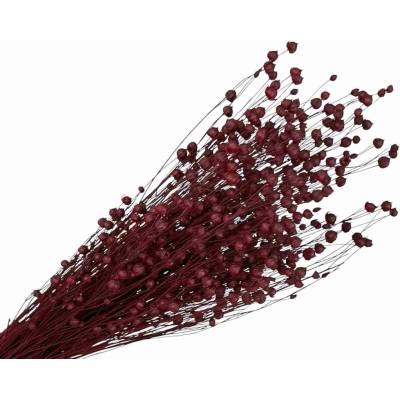 Sušený ľan - kytica cca 100g - bordový
