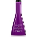 Šampony L'Oréal šampon Pro Fiber Reconstruct pro regeneraci 250 ml