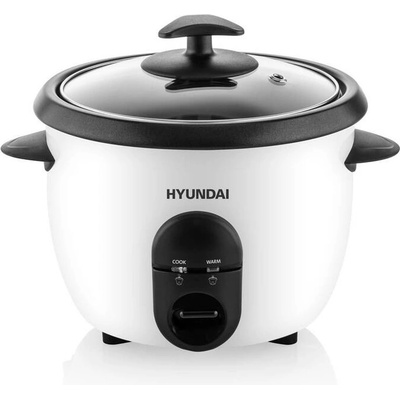 Hyundai RC100