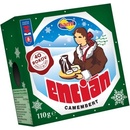 Tami Encián Camembert 110 g