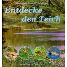 Entdecke den Teich