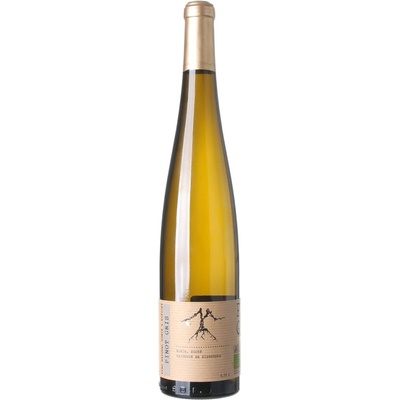 Víno Natural Domin & Kušický Pinot Gris 2021 BIO 13,5% 0,75 l (čistá fľaša)