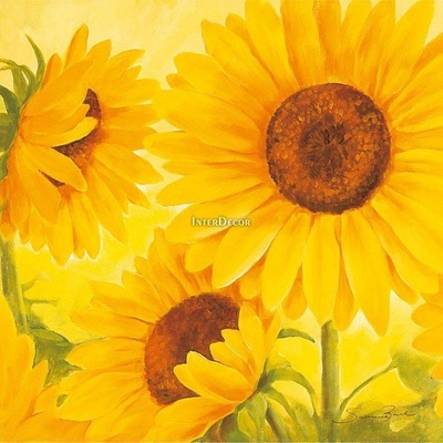 Slunečnice 1 deska 70x70