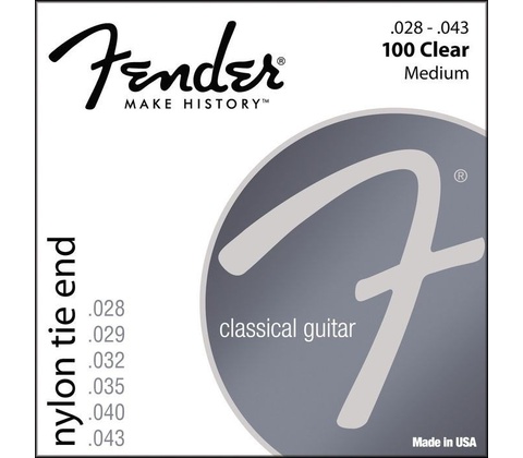 Fender 100 Clear/Silver