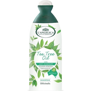 L'Angelica Officinalis Antidandruff Shampoo (with natural antibacterial) Шампоани 250ml