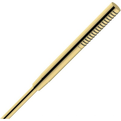Hansgrohe 24125990