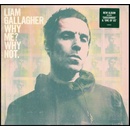 GALLAGHER, LIAM - WHY ME? WHY NOT. LP