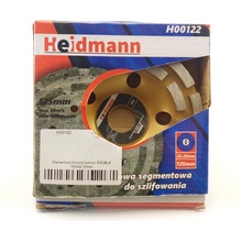 Geko H00122