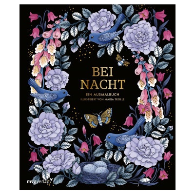Bei Nacht - Ein Ausmalbuch