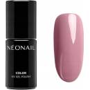 Hybridný farebný lak NEONAIL Rosy Memory 7,2 ml